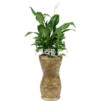 스파트필륨 마불
