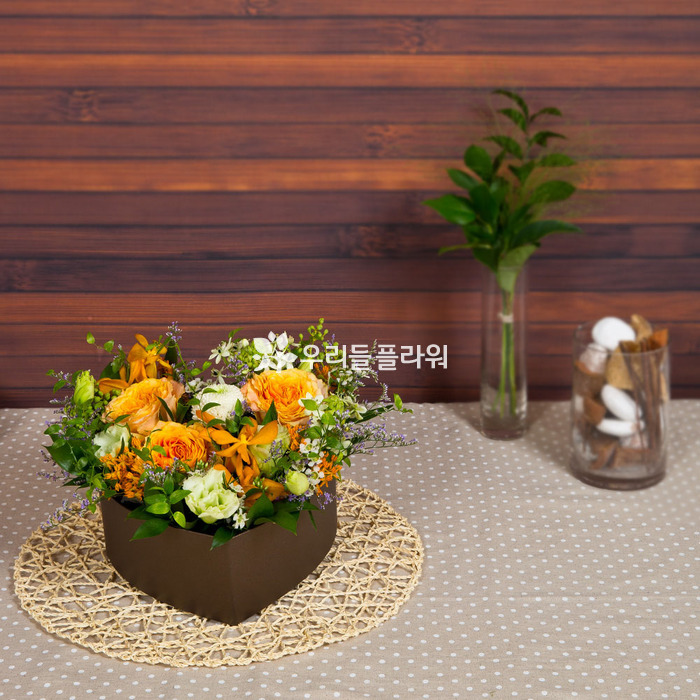 상세이미지