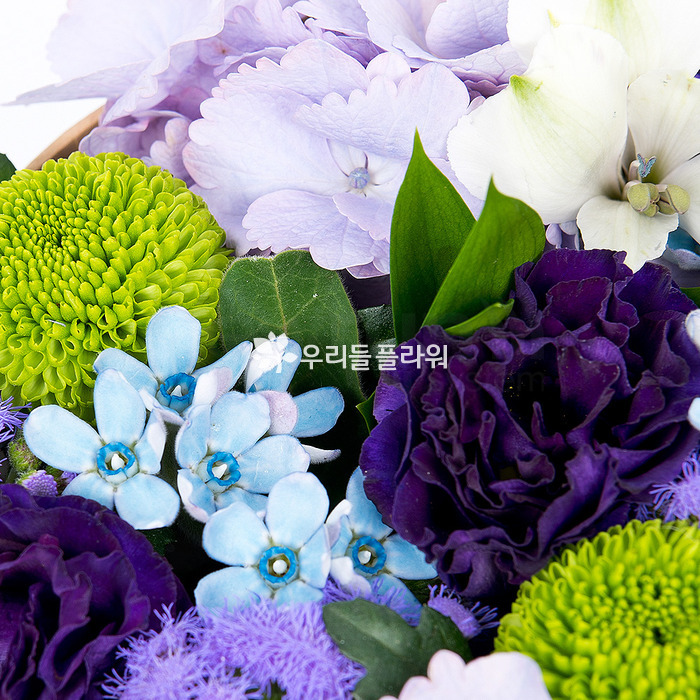 상세이미지
