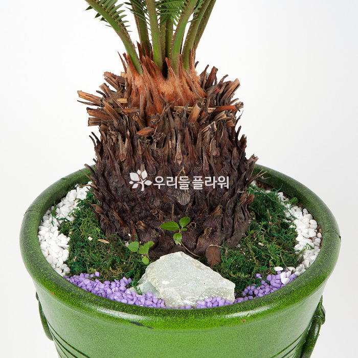 상세이미지