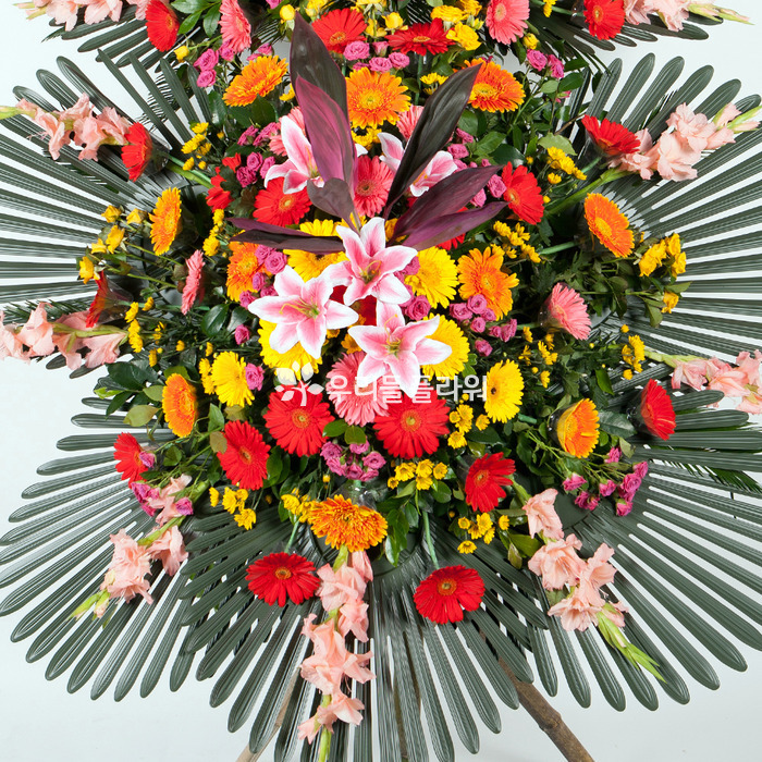 상세이미지