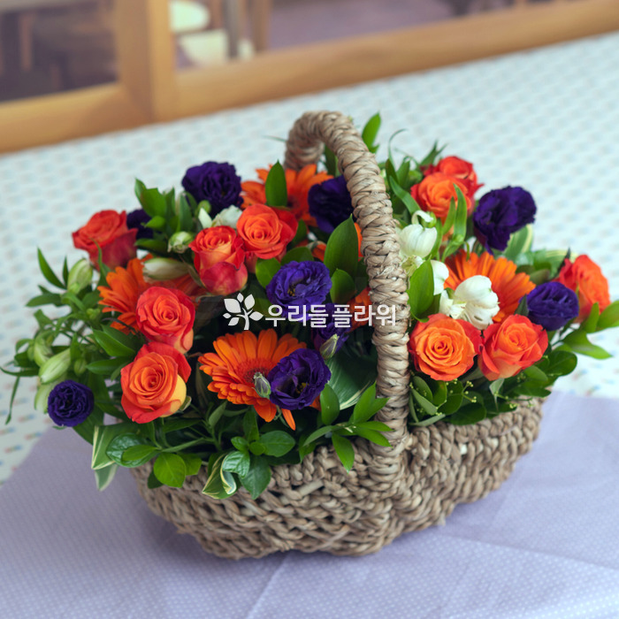 상세이미지