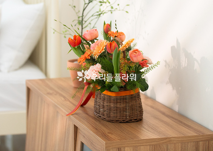 상세이미지