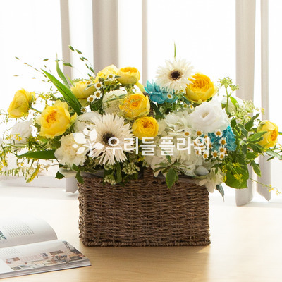 사랑의 바보