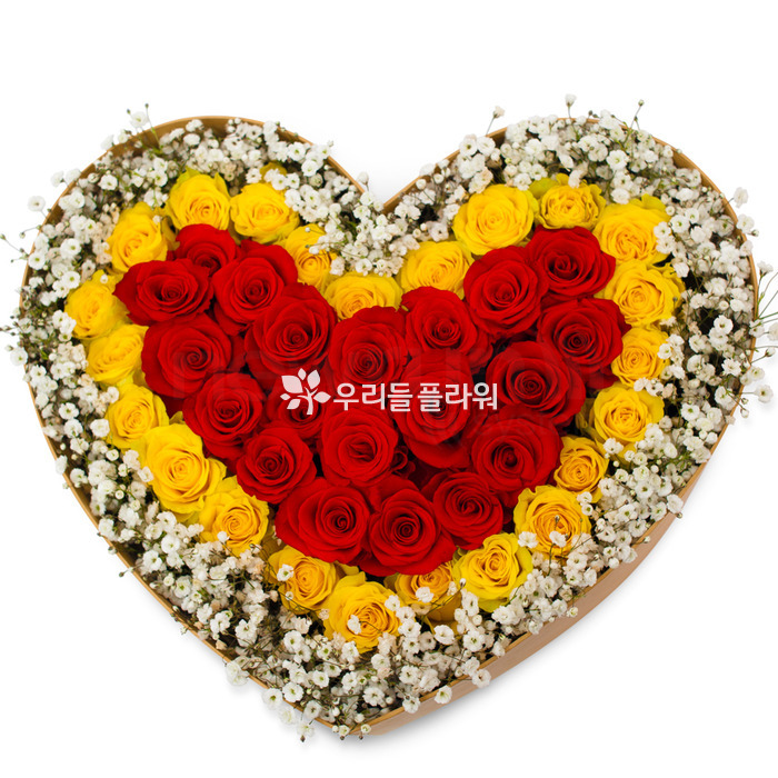 상세이미지