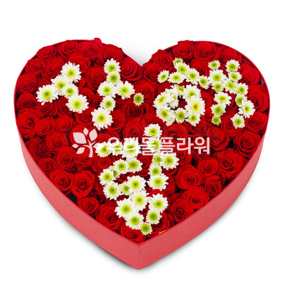 하트사랑 - 100송이