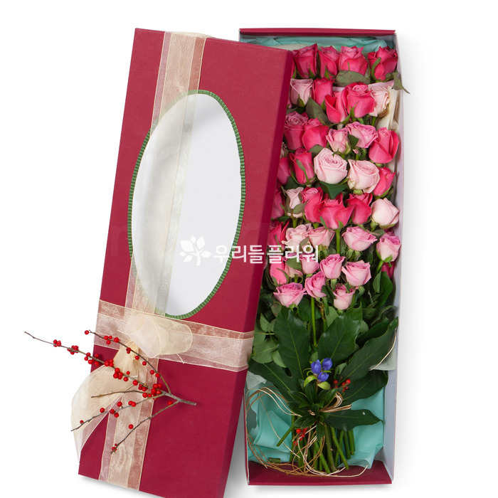 상세이미지