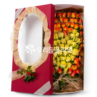 꽃상자 88c