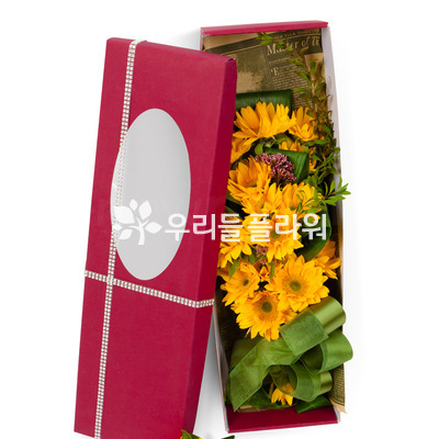 해바라기꽃상자