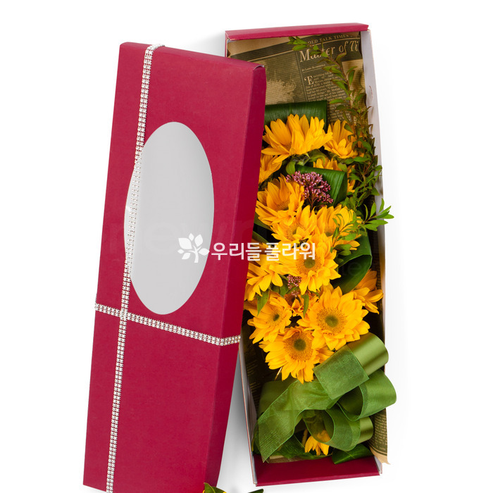 상세이미지