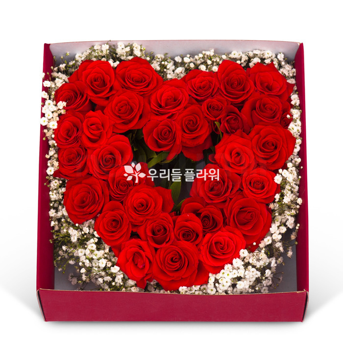 상세이미지