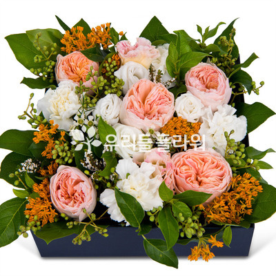 꽃상자 c751