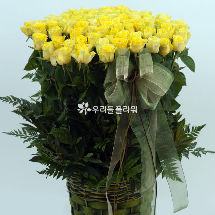 상세이미지