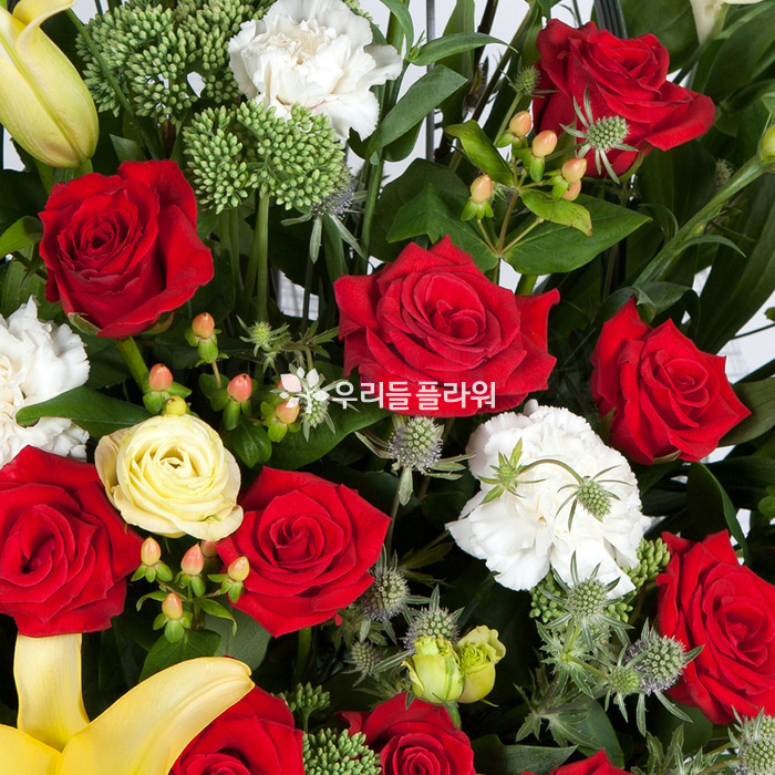 상세이미지