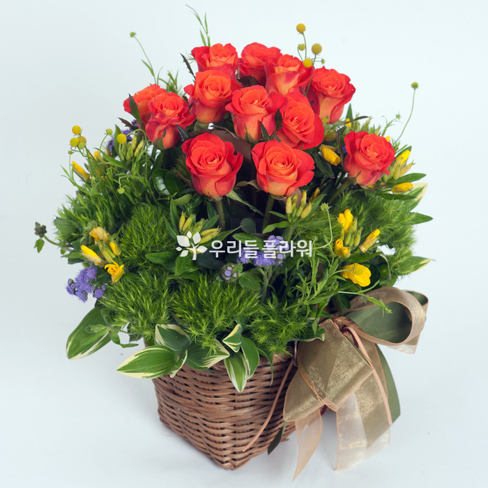 상세이미지