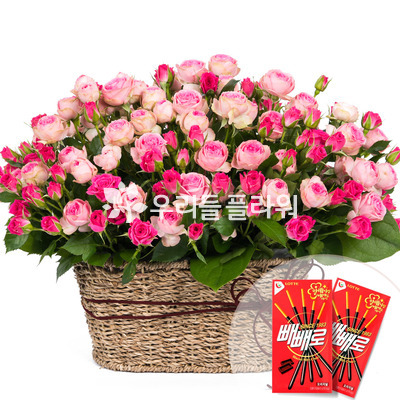 로망스+빼빼로