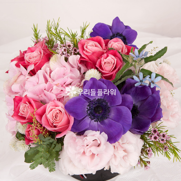 상세이미지