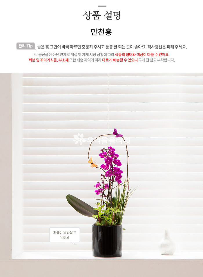 상세이미지