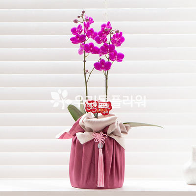 실크보자기만천홍