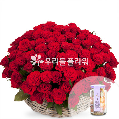 명품100송이 레드장미 특가[예약/사탕상자 포함]