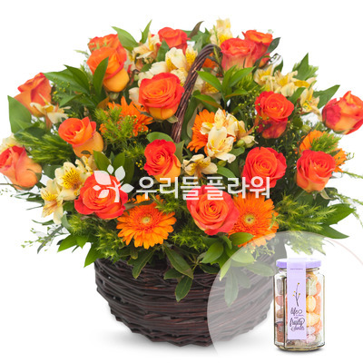 꽃행복273번