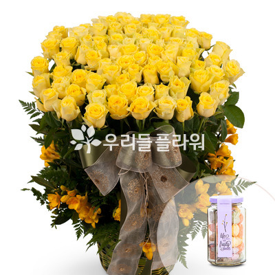 명품100송이 옐로장미 특가[예약/사탕상자 포함]