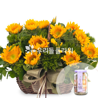 황금시대(초콜릿 & 캔디포함)