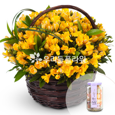 후리지아(초콜릿 & 캔디포함)