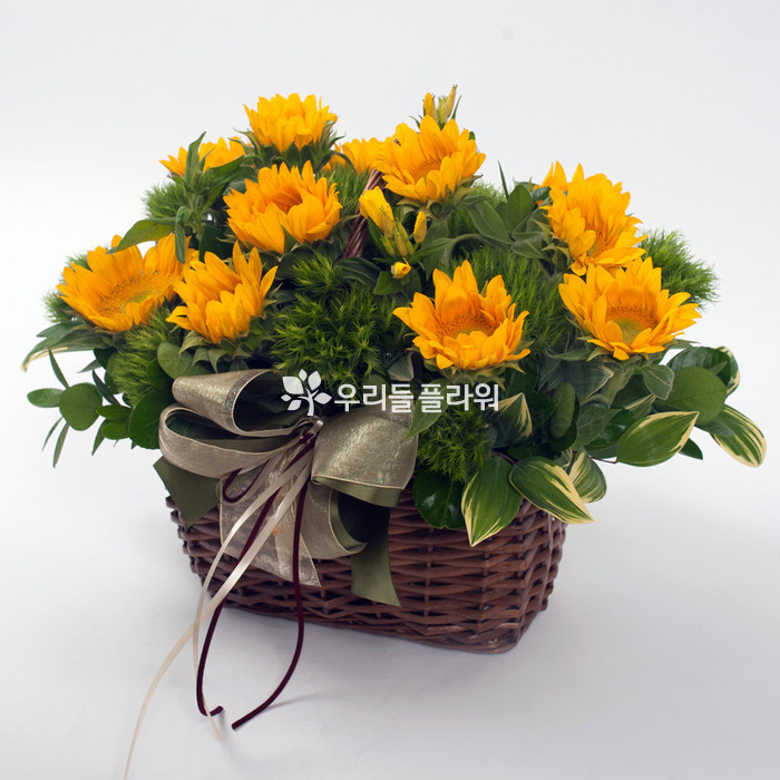 상세이미지