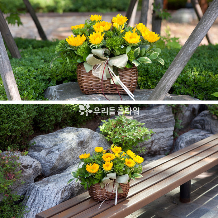 상세이미지