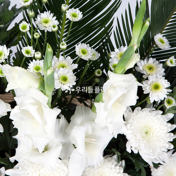 상세이미지