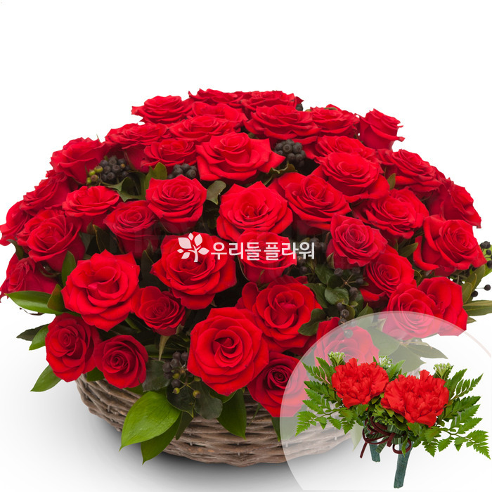 상세이미지
