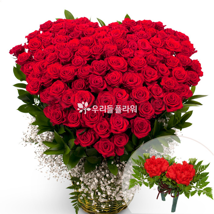 상세이미지