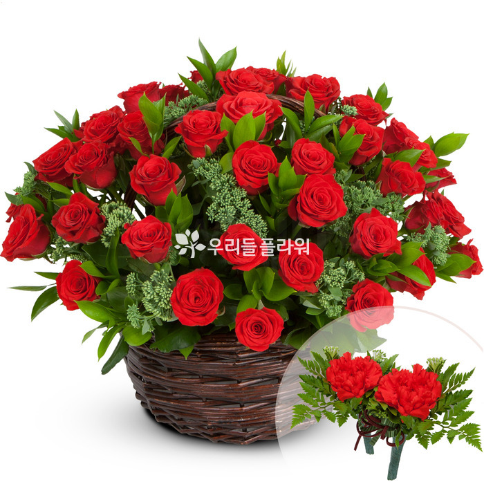 상세이미지