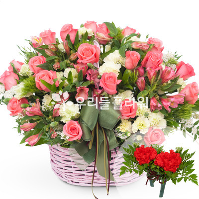 사피아장미혼합바구니