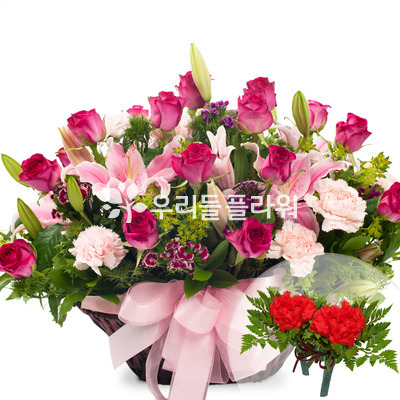 카네이션바구니(코사지무료)