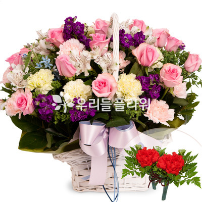 매일 보고 싶다