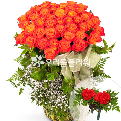 자주색장미바구니
