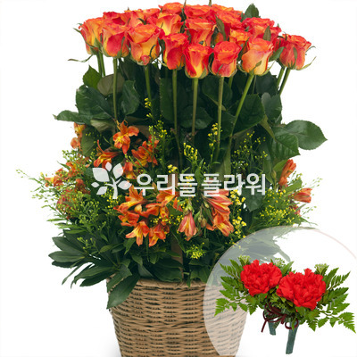 주황색장미바구니