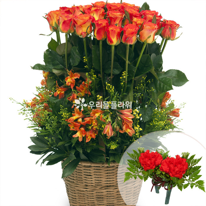상세이미지