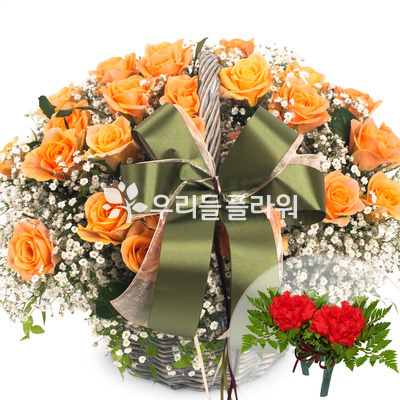 안개장미바구니
