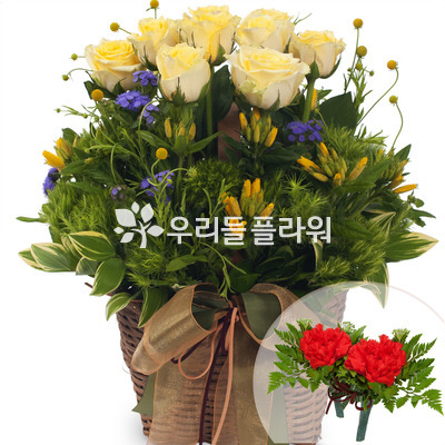 옐로우톤바구니