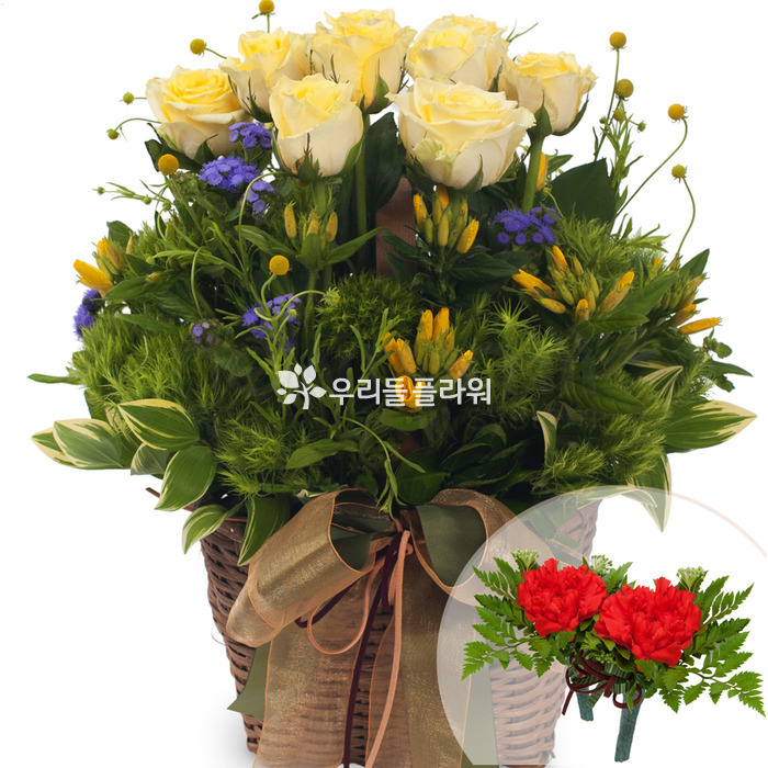 상세이미지