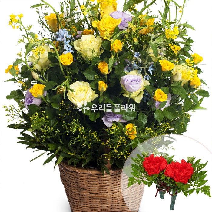 상세이미지