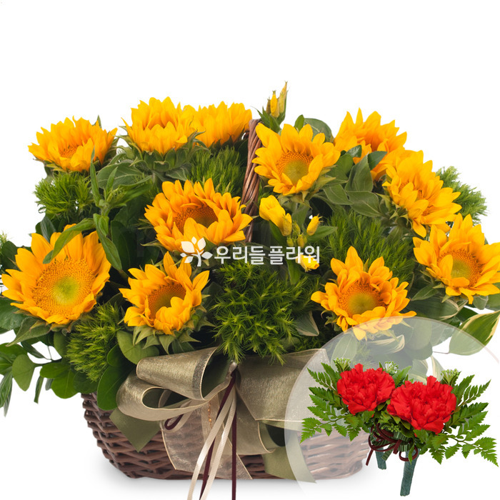 상세이미지