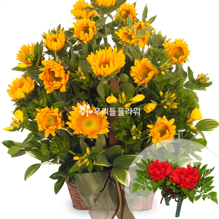 상세이미지