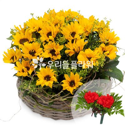 해바라기바구니2