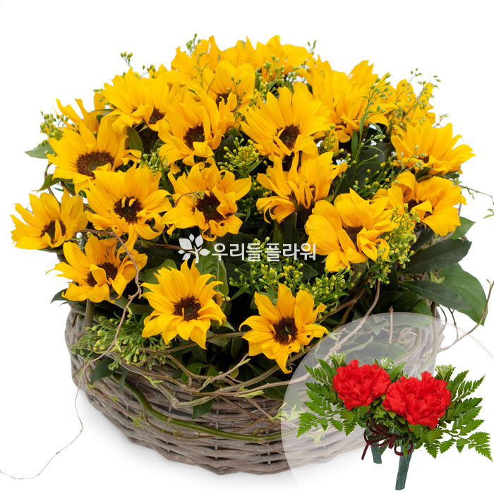상세이미지