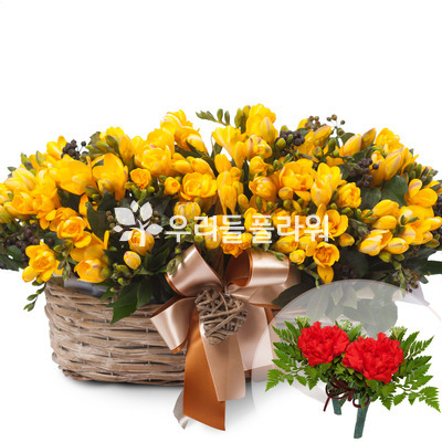 후리지아노랑색바구니