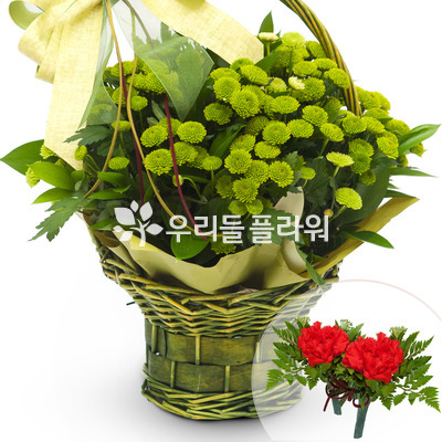 초록색소국바구니